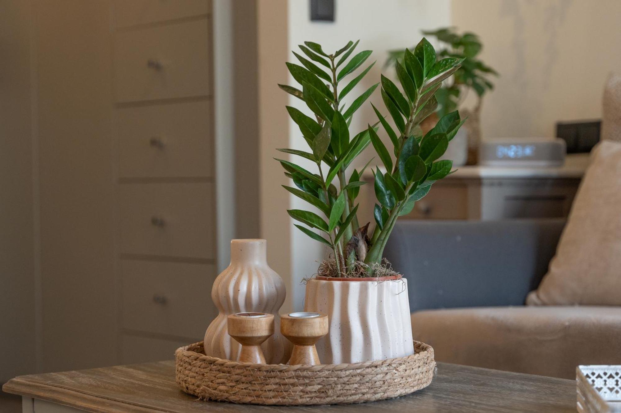 Ixia Home Екстериор снимка